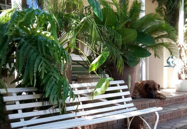 Mavilla Stellenbosch B&B 외부 사진